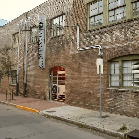 Constance Lofts By Black Swan نيو أورلينز المظهر الخارجي الصورة
